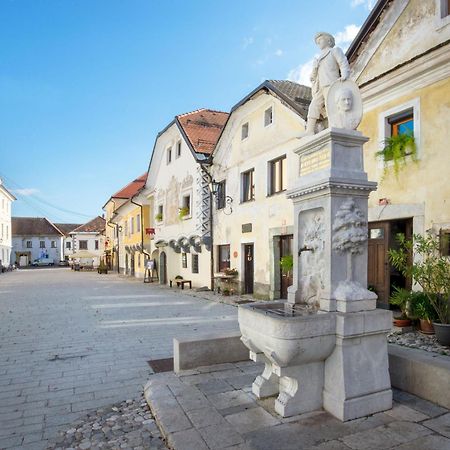 Art House Radovljica Apartment Екстериор снимка