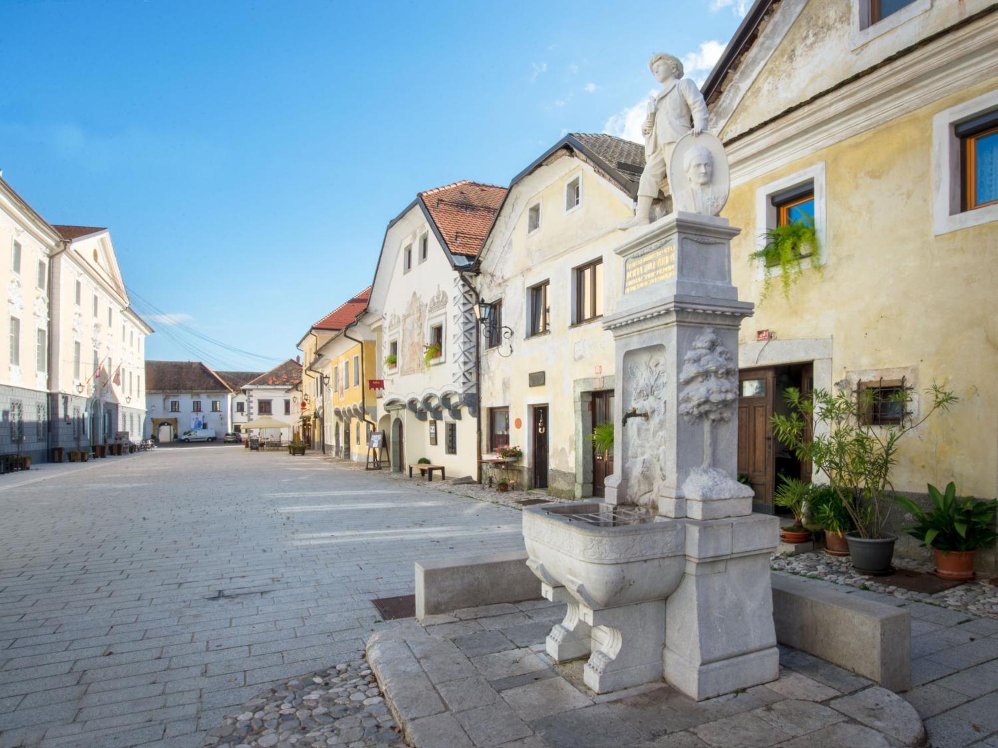 Art House Radovljica Apartment Екстериор снимка
